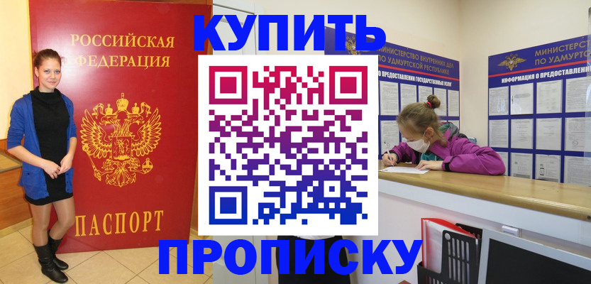 прописка поиск в Сольцах